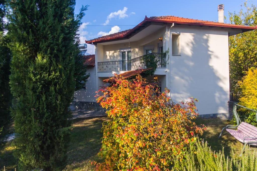 Woods Cottage Loutra Pozar Aridaia Megaplatanos Exterior photo